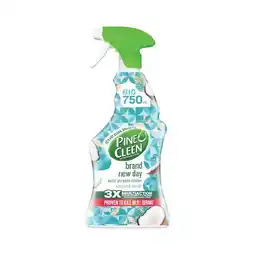 Woolworths Pine O Cleen Brand New Day Triggers 750ml offer