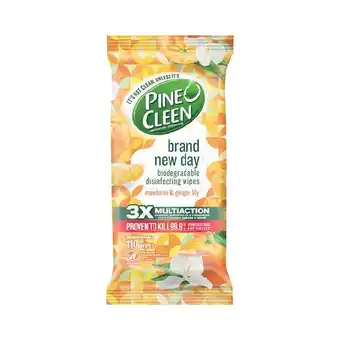 Woolworths Pine O Cleen Brand New Day Wipes Pk 110 offer