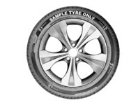 Double Coin DC-99 205/55R16 91V