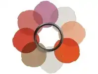 Officeworks Manfrotto Portrait Filter Kit For Lumimuse offer