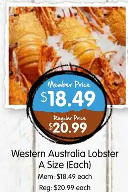 Spudshed Western Australia Lobster A Size (Each) offer