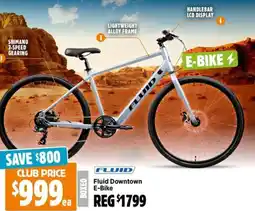 Anaconda Fluid Downtown E-Bike offer