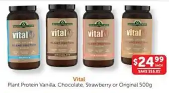 WHOLELIFE catalogue Vital Plant Protein Vanilla, Chocolate, Strawberry or Original offer