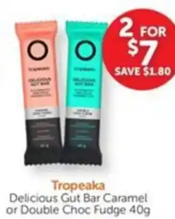 WHOLELIFE catalogue Tropeaka Delicious Gut Bar Caramel or Double Choc Fudge offer