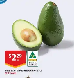 ALDI Australian Shepard Avocados offer