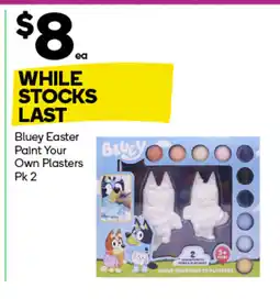 Woolworths Bluey Easter Paint Your Own Plasters offer