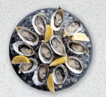 Drakes Australian cocktail oysters offer