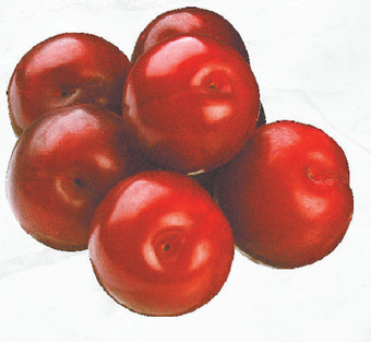 Australian plums