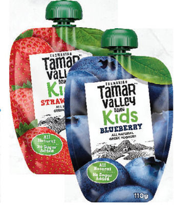 Drakes Tamar valley kids greek style yoghurt pouch 110g offer