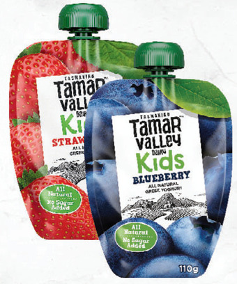 Drakes Tamar valley kids greek style yoghurt pouch 110g offer