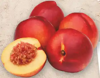 Australian nectarines