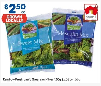 Foodland Rainbow Fresh Leafy Greens or Mixes 120g offer