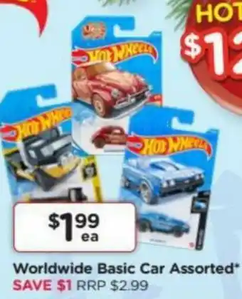 Worldwide Basic Cat Assorted