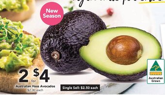 Drakes Australian Hass Avocados offer