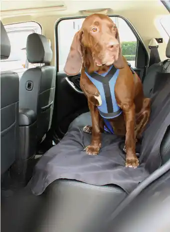Auto One Pc procovers waterproof bench seat cover/ protector mat offer
