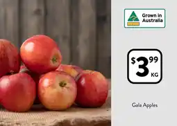 Foodworks Gala Apples offer