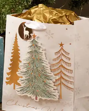 BIG W Ornate christmas large bag offer