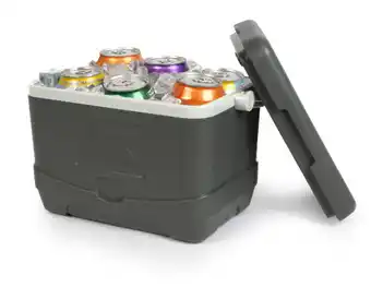 California innovations hard body cooler box 6-litre