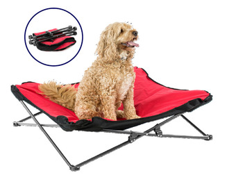 BIG W Slumbertrek pet bed offer