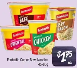 Fantastic Cup or Bowl Noodles
