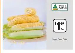 Foodworks Sweet corn cobs offer