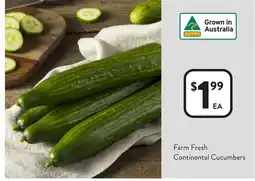 Foodworks Continental Cucumbers offer