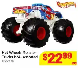 Mr Toys Hot Wheels Monster Trucks 1:24- Assorted offer