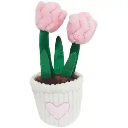 Woolworths Mother’s Day Plush Plant – Flowers offer