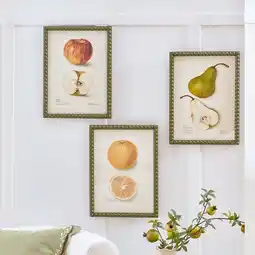 Pillow Talk Grandma's Fruit Bowl Wall Art by M.U.S.E offer