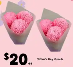Drakes Mother's Day Disbuds offer