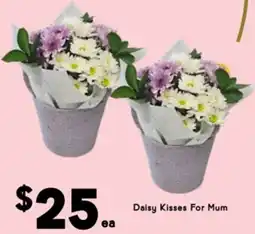 Drakes Daisy Kisses For Mum offer
