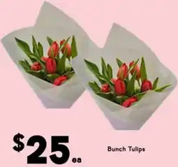 Drakes Bunch Tulips offer
