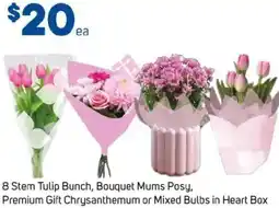 Foodland Tulip Bunch, Bouquet Mums Posy, Premium Gift Chrysanthemum or Mixed Bulbs offer