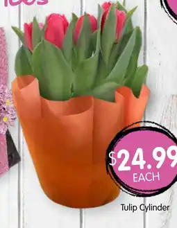 Spudshed Tulip Cylinder offer