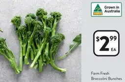 Foodworks Farm Fresh Broccolini Bunches offer