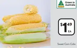 Foodworks Sweet Corn Cobs offer