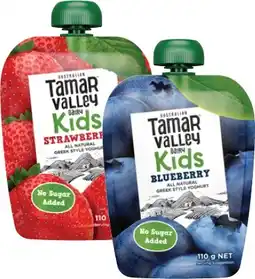 Coles Tamar Valley Dairy Kids Yoghurt Pouch 110g offer