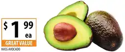 Supabarn Hass avocado offer
