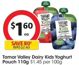 Coles Tamar valley dairy kids yoghurt pouch offer