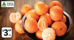 Foodworks Citrus burst imperial mandarins offer
