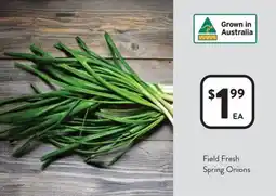 Foodworks Field Fresh Spring Onions offer
