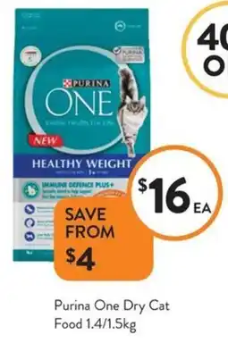 Foodworks Purina One Dry Cat Food offer