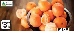 Foodworks Citrus burst imperial mandarins offer