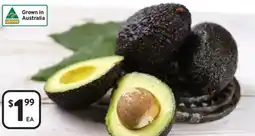 Foodworks New season hass avocados offer