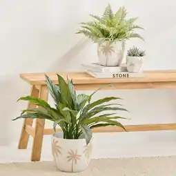 Pillow Talk Cali Palm Planter by M.U.S.E offer