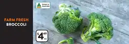 Broccoli