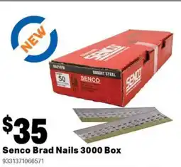 Mitre 10 Senco brad nails box offer