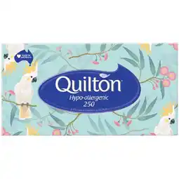 Woolworths Quilton 2 Ply Hypo-allergenic Tissues Pk 250 offer