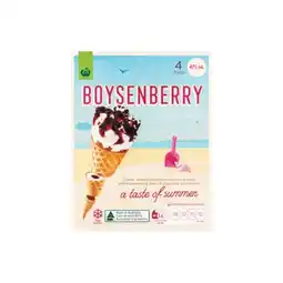 Woolworths Woolworths Ice Cream Cones 475ml Pk 4 – From the Freezer offer