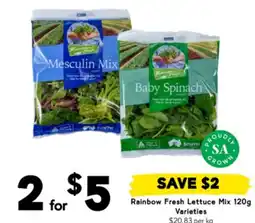 Drakes Rainbow fresh lettuce mix offer